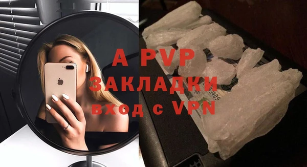 прущие крисы Белокуриха