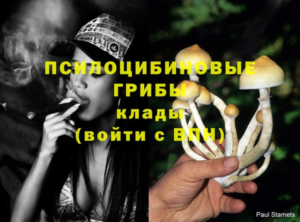 прущие крисы Белоозёрский