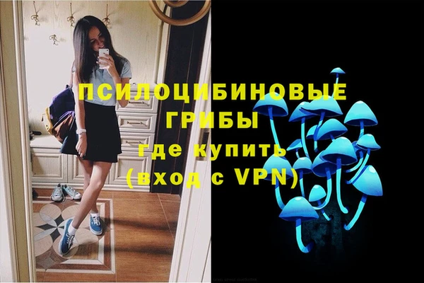 прущие крисы Белокуриха