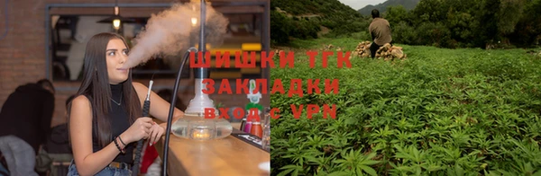 прущие крисы Белокуриха