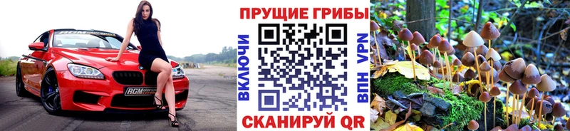 дарнет шоп Наро-Фоминск Галлюциногенные грибы Cubensis
